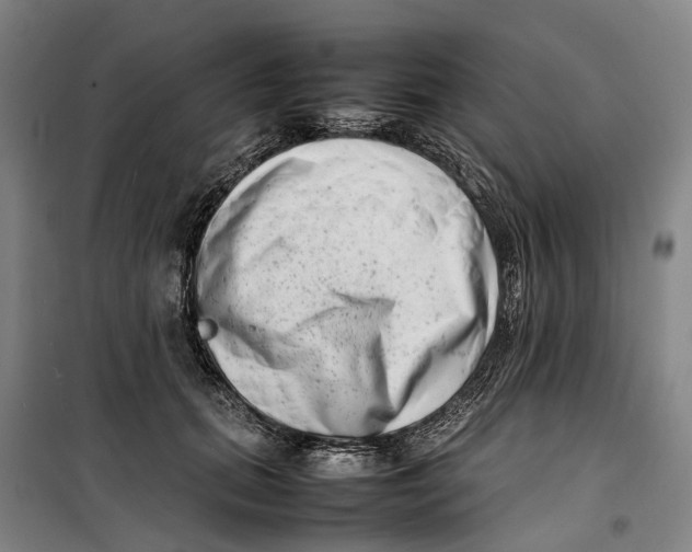 X0000099460655200805301535