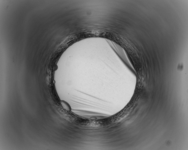 X0000099460656200805301535