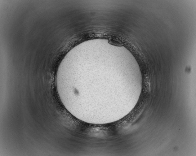 X0000099460657200805301535