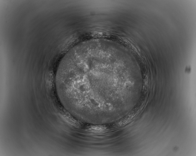 X0000099460659200805301535