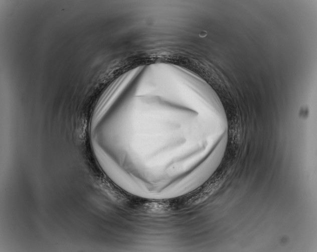 X0000099460660200805301535