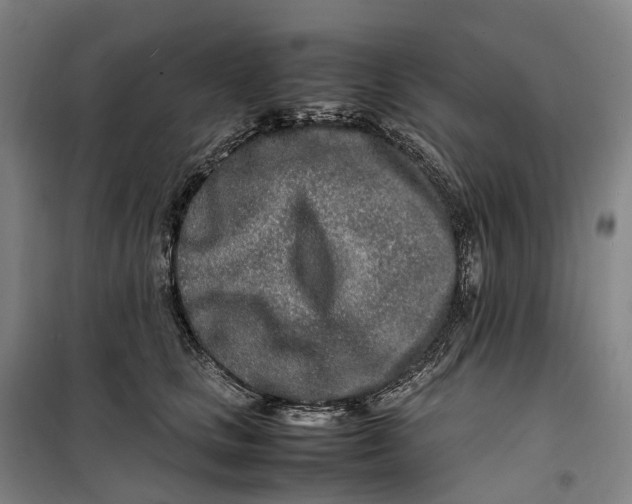 X0000099460661200805301535