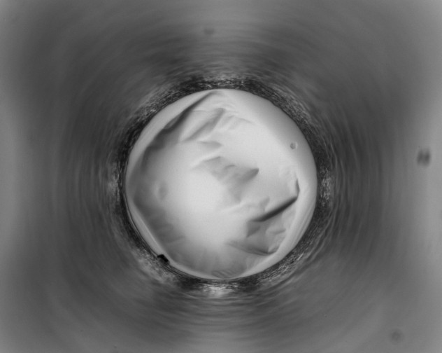 X0000099460662200805301535