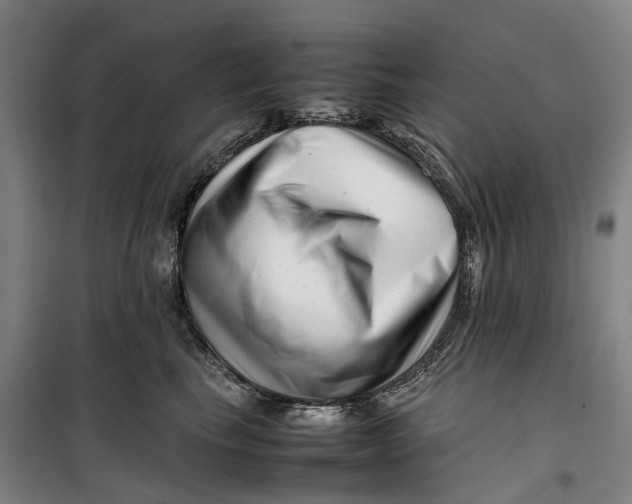 X0000099460665200805301535