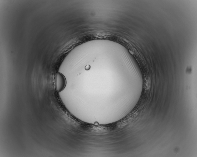 X0000099460666200805301535