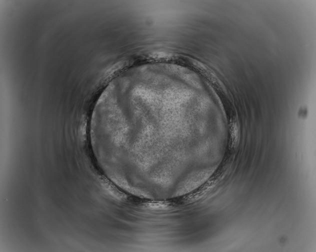 X0000099460668200805301535