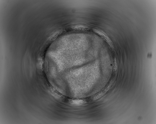 X0000099460669200805301535