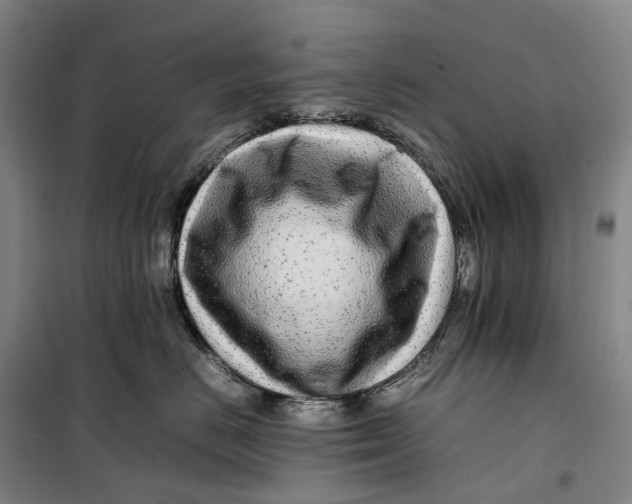 X0000099460670200805301535