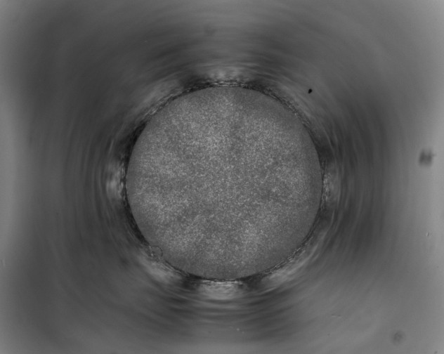 X0000099460671200805301535