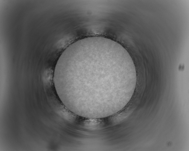 X0000099460672200805301535