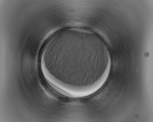 X0000099460674200805301535