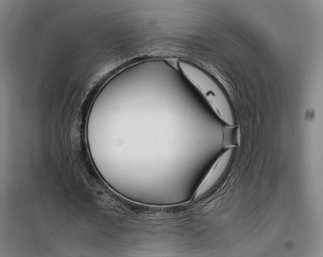 X0000099460675200805301535