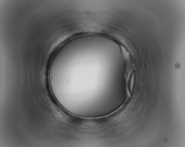 X0000099460677200805301535