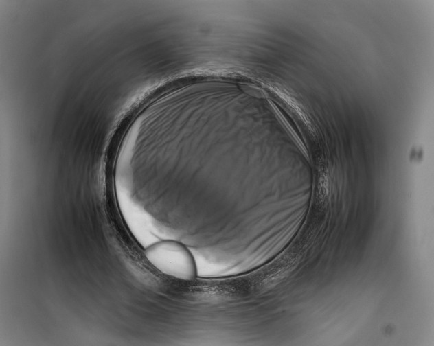 X0000099460678200805301535