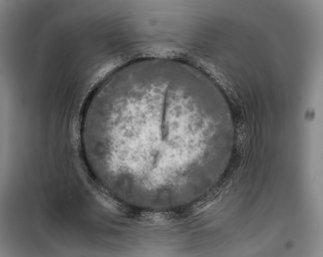 X0000099460679200805301535