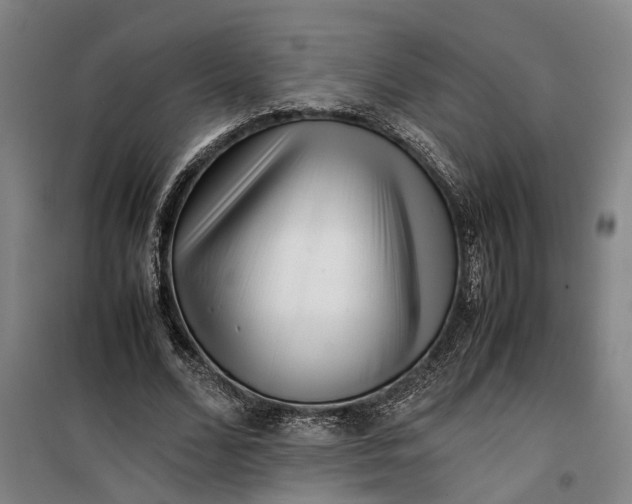 X0000099460680200805301535