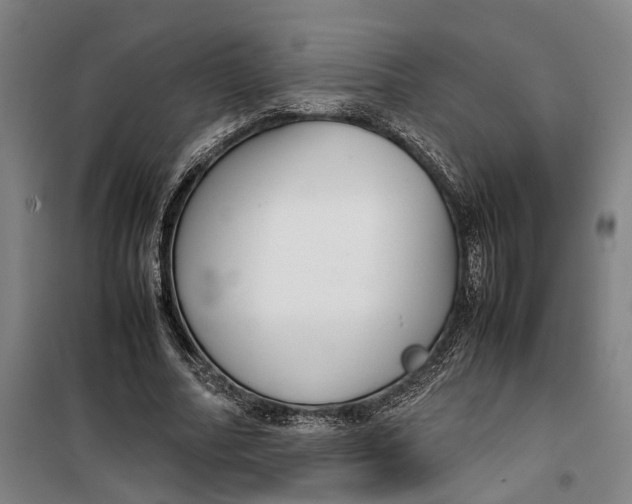 X0000099460682200805301535