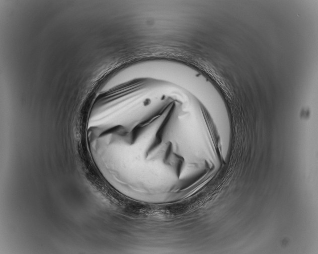 X0000099460683200805301535