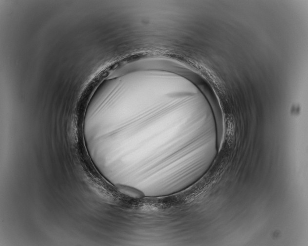 X0000099460684200805301535