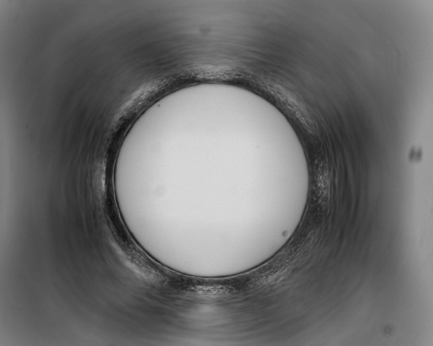 X0000099460686200805301535