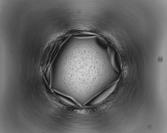 X0000099460688200805301535