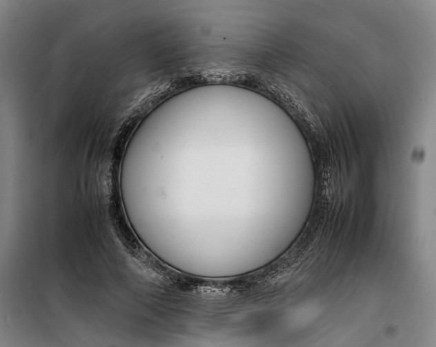 X0000099460690200805301535