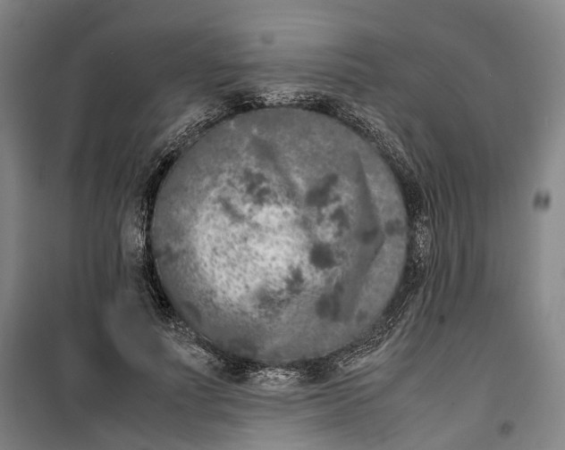 X0000099460691200805301535