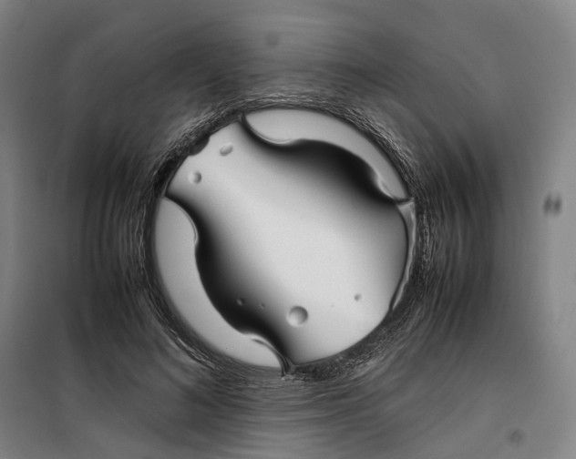 X0000099460692200805301535