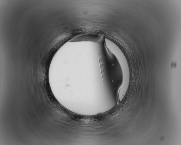 X0000099460693200805301535