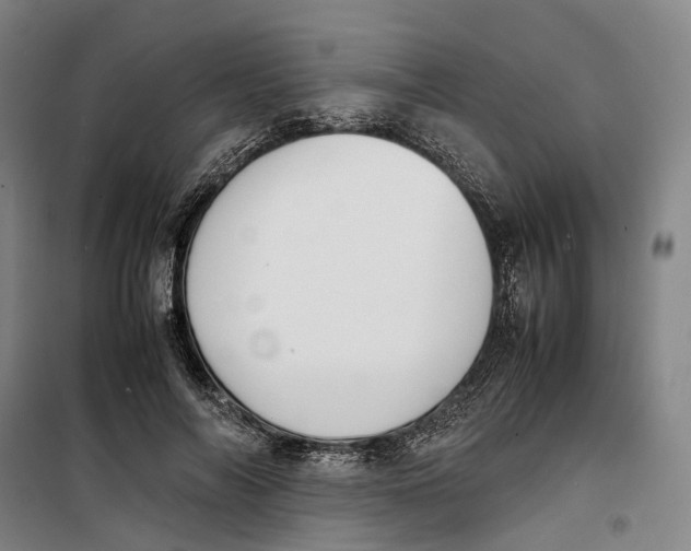 X0000099460694200805301535