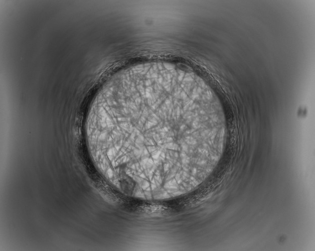 X0000099460695200805301535