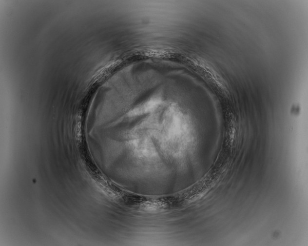 X0000099460696200805301535