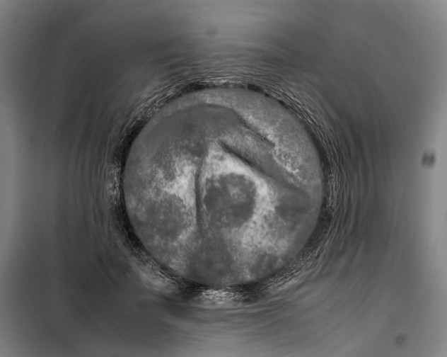 X0000099460699200805301534