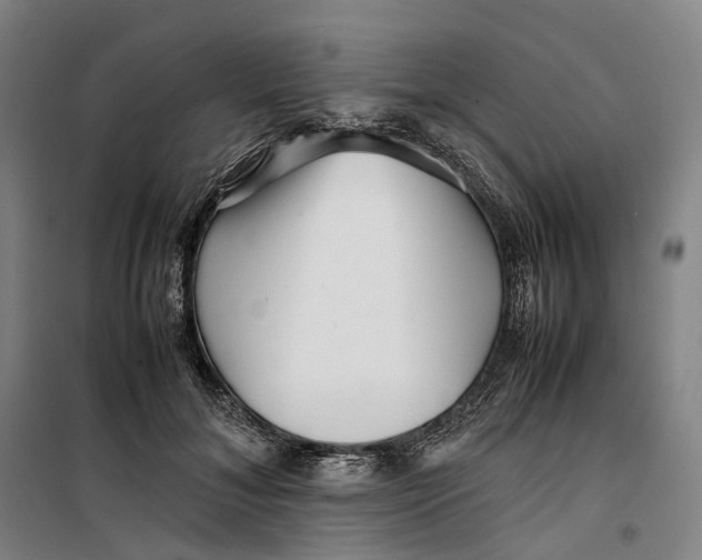 X0000099460700200805301534