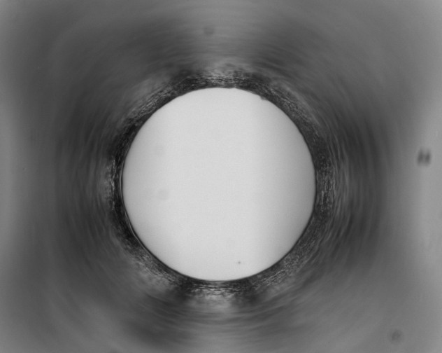 X0000099460702200805301534