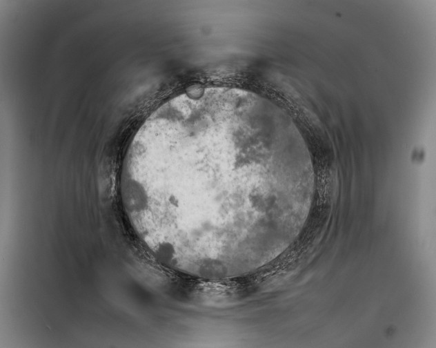 X0000099460703200805301534