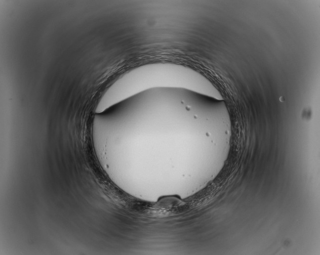 X0000099460704200805301534