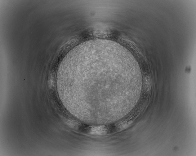 X0000099460705200805301534