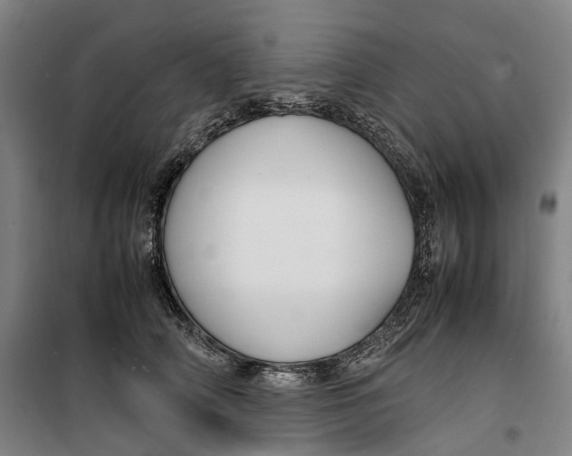 X0000099460706200805301534