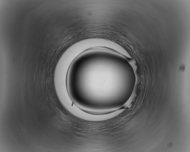 X0000099460707200805301534