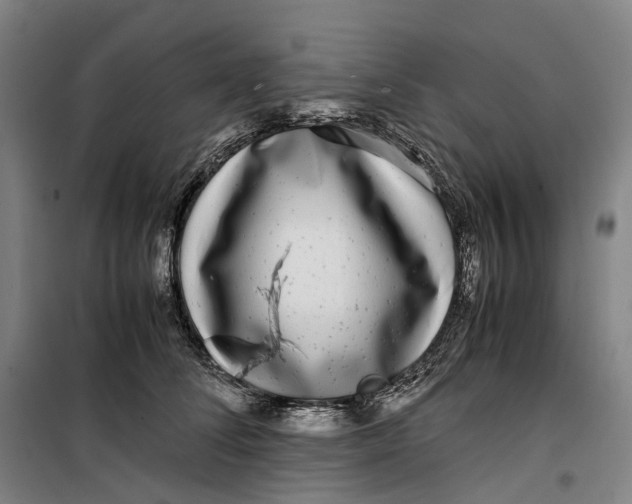 X0000099460708200805301534