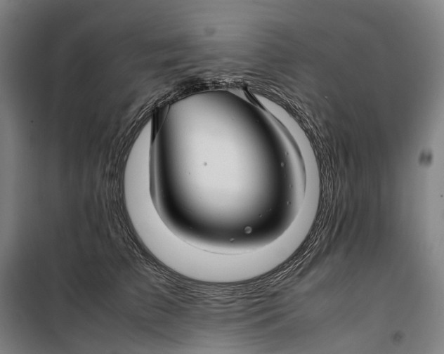 X0000099460709200805301534