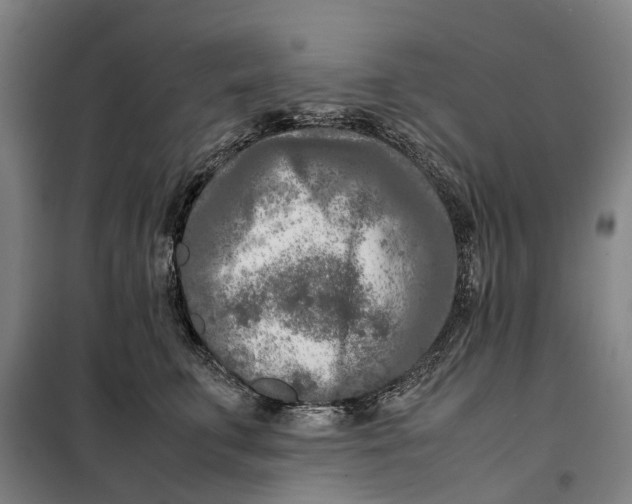 X0000099460711200805301534