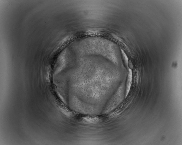 X0000099460712200805301534