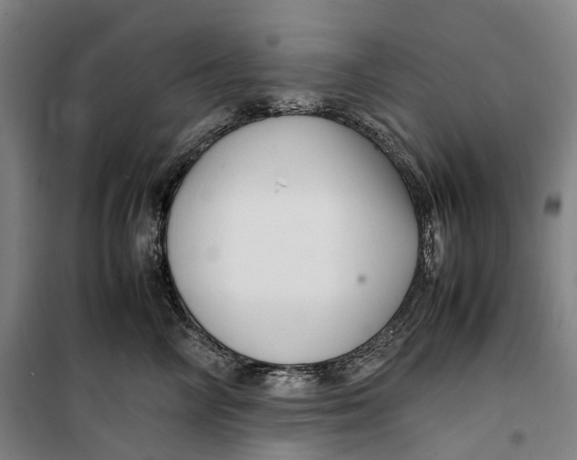 X0000099460714200805301534