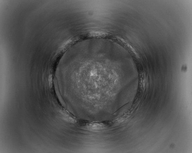 X0000099460716200805301534