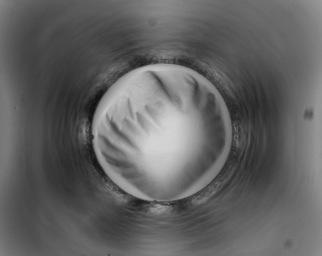 X0000099460718200805301534