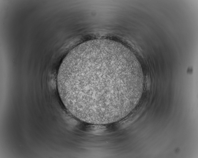 X0000099460719200805301534