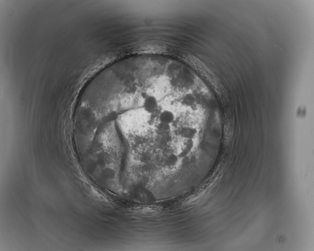 X0000099460721200805301533