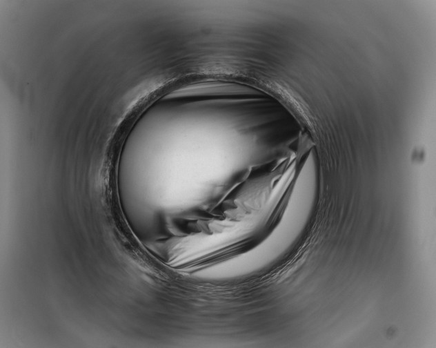 X0000099460723200805301533